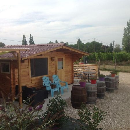 Le Sang Des Vignes Bed & Breakfast Monbazillac Eksteriør bilde